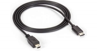 USB-C to Mini Cable (IPG)